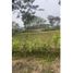  Land for sale in Sopetran, Antioquia, Sopetran