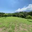  Terrain for sale in Quinta de San Pedro Alejandrino, Santa Marta, Santa Marta