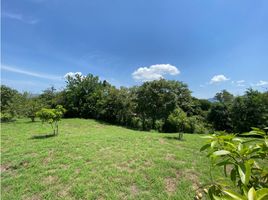  Terrain for sale in Quinta de San Pedro Alejandrino, Santa Marta, Santa Marta