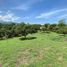  Terrain for sale in Quinta de San Pedro Alejandrino, Santa Marta, Santa Marta