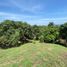  Terrain for sale in Quinta de San Pedro Alejandrino, Santa Marta, Santa Marta