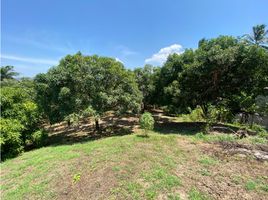  Terrain for sale in Quinta de San Pedro Alejandrino, Santa Marta, Santa Marta