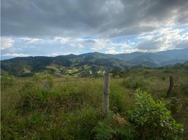  Terreno (Parcela) en venta en Retiro, Antioquia, Retiro