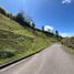  Land for sale in Rionegro, Antioquia, Rionegro