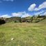  Land for sale in Rionegro, Antioquia, Rionegro