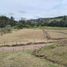  Land for sale in San Vicente, Antioquia, San Vicente