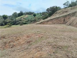  Land for sale in San Vicente, Antioquia, San Vicente