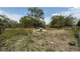  Land for sale in Palmira, Valle Del Cauca, Palmira