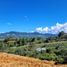 Terrain à vendre à La Ceja, Antioquia, La Ceja, Antioquia