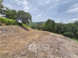  Terreno (Parcela) en venta en Manizales, Caldas, Manizales