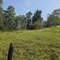  Land for sale in Envigado, Antioquia, Envigado