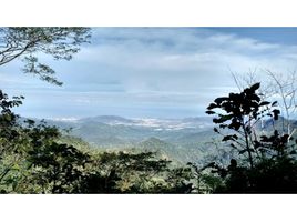  Land for sale in Magdalena, Santa Marta, Magdalena