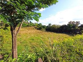  Terreno (Parcela) en venta en Pereira, Risaralda, Pereira