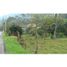  Land for sale in Barbosa, Antioquia, Barbosa