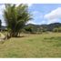  Land for sale in El Carmen De Viboral, Antioquia, El Carmen De Viboral