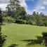 7 Bedroom Villa for sale in Antioquia, Rionegro, Antioquia