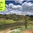  Land for sale in San Vicente, Antioquia, San Vicente