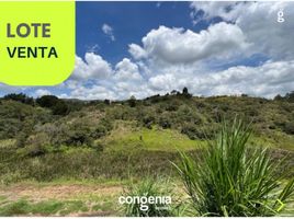  Land for sale in San Vicente, Antioquia, San Vicente