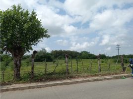  Terreno (Parcela) en venta en Cerete, Córdoba, Cerete