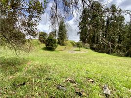  Land for sale in Envigado, Antioquia, Envigado