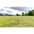  Land for sale in Monterrey, Casanare, Monterrey