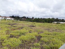  Land for sale in Popayan, Cauca, Popayan