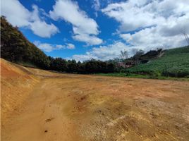  Land for sale in El Carmen De Viboral, Antioquia, El Carmen De Viboral