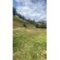  Land for sale in El Carmen De Viboral, Antioquia, El Carmen De Viboral