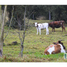  Terreno (Parcela) en venta en La Calera, Cundinamarca, La Calera