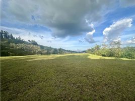  Land for sale in Envigado, Antioquia, Envigado