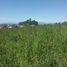  Land for sale in Llanquihue, Los Lagos, Puerto Varas, Llanquihue
