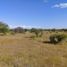  Terreno (Parcela) en venta en Chile, Cauquenes, Cauquenes, Maule, Chile