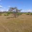  Terreno (Parcela) en venta en Chile, Cauquenes, Cauquenes, Maule, Chile