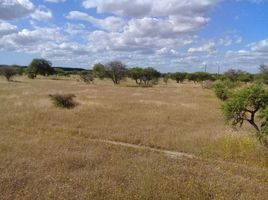  Terreno (Parcela) en venta en Chile, Cauquenes, Cauquenes, Maule, Chile