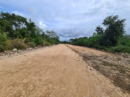  Grundstück zu verkaufen in Hunucma, Yucatan, Hunucma