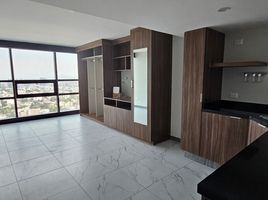 Studio Condo for rent in Miguel Hidalgo, Mexico City, Miguel Hidalgo, Mexico City