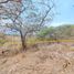  Land for sale in Santa Isabel Chaguarurco, Santa Isabel, Santa Isabel Chaguarurco