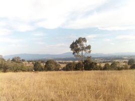  Terreno (Parcela) en venta en Amealco De Bonfin, Querétaro, Amealco De Bonfin