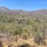  Land for sale in Valparaiso, Quillota, Quillota, Valparaiso