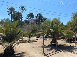  Land for sale in Valparaiso, Quillota, Quillota, Valparaiso