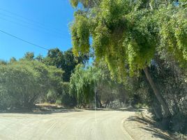  Terreno (Parcela) en venta en Valparaíso, Olmue, Quillota, Valparaíso