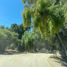  Land for sale in Olmue, Valparaiso, Olmue