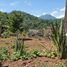  Grundstück zu verkaufen in Valle De Bravo, Mexico, Valle De Bravo