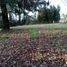  Terreno (Parcela) en venta en Los Ríos, Mariquina, Valdivia, Los Ríos