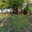  Terreno (Parcela) en venta en Los Ríos, Mariquina, Valdivia, Los Ríos