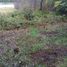  Terreno (Parcela) en venta en Los Ríos, Mariquina, Valdivia, Los Ríos