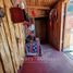 5 Habitación Casa en venta en Valparaíso, Casa Blanca, Valparaíso, Valparaíso