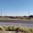 Land for rent in Nadadores, Coahuila, Nadadores