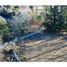  Land for sale in Chile, Cunco, Cautin, Araucania, Chile