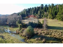  Land for sale in Chile, Cunco, Cautin, Araucania, Chile